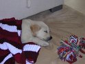Cluj Toamna 2008 135